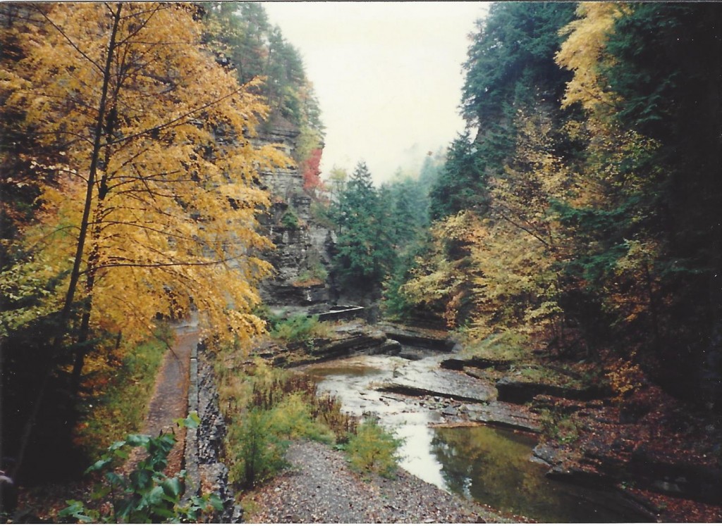 Ithaca, New York Oct 1991